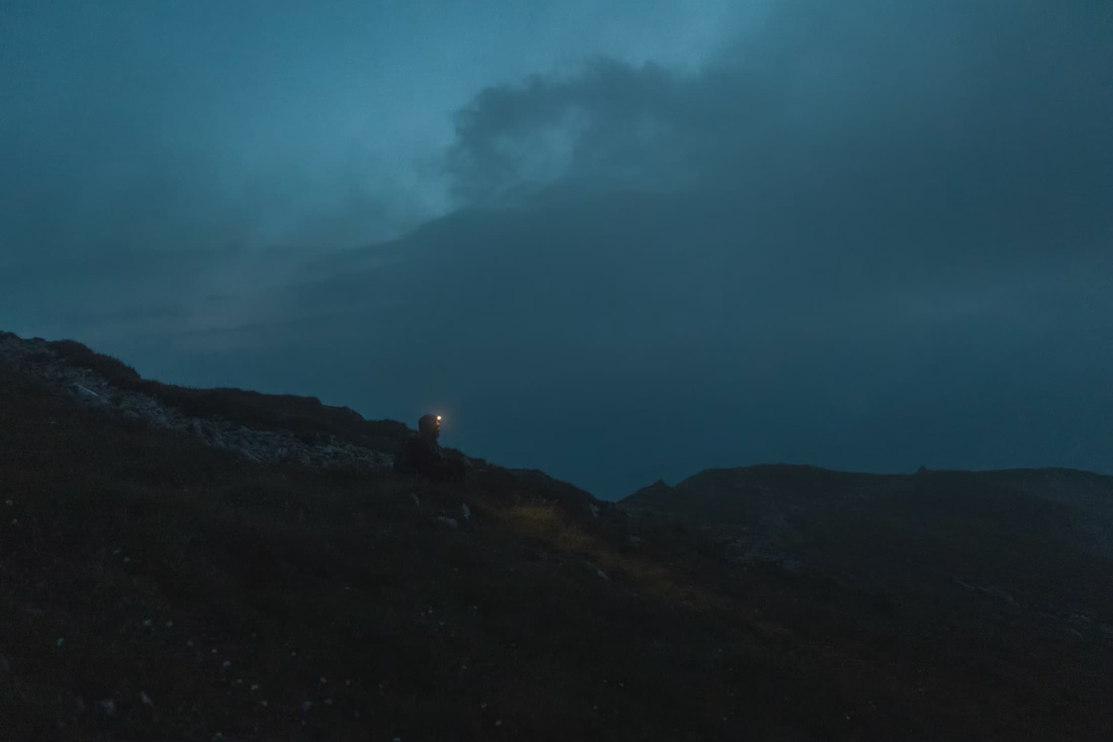 Into the wild night